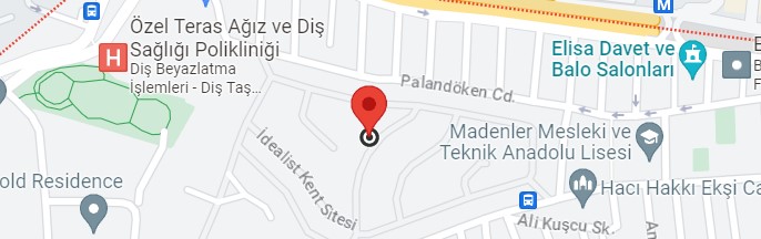 Necip Fazıl Vaillant Servisi