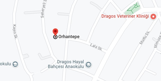 Orhantepe Vaillant Servisi