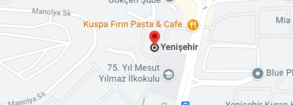 Yenişehir Vaillant Servisi