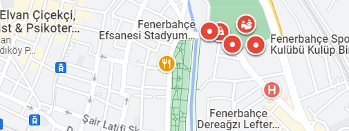 Fenerbahçe Vaillant Servisi