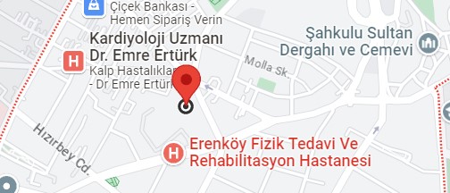 Merdivenköy Vaillant Servisi