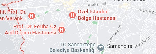 Sancaktepe Vaillant Servisi