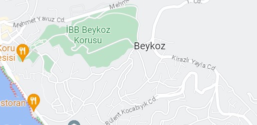 Beykoz Vaillant Servisi