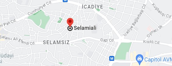 Selami Ali Vaillant Servisi