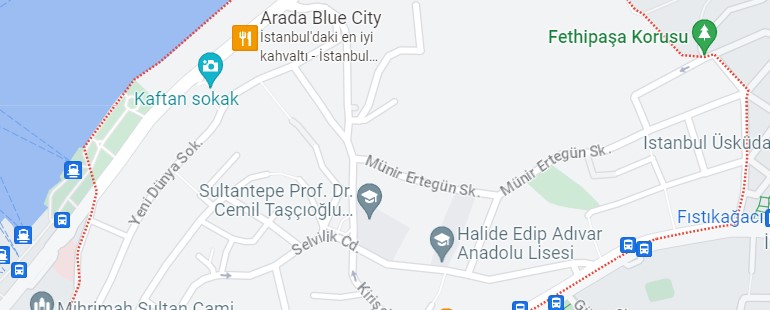 Sultantepe Vaillant Servisi